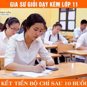 gia-su-lop-11-gioi