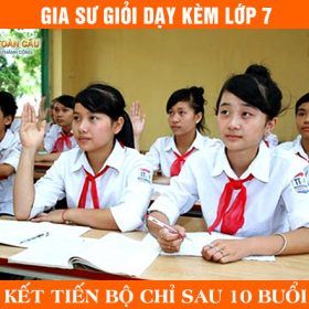 gia-su-lop-7-gioi